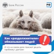 Информация для граждан: "Общая финансовая грамотность". 